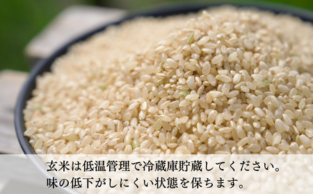 【先行予約】 げんき米 コシヒカリ（玄米10kg）