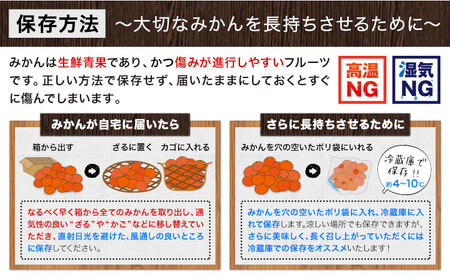 温州みかん 約10kg 日本フルーツ株式会社 熊本県 荒尾市 《10月中旬-2月下旬頃出荷予定》 デコポン 果物 秀品 フルーツ スイーツ デザート ギフト ご贈答