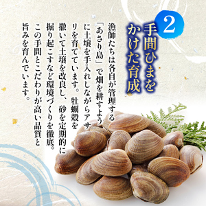 厚岸産あさり 500g×1パック 大中混合 あさり