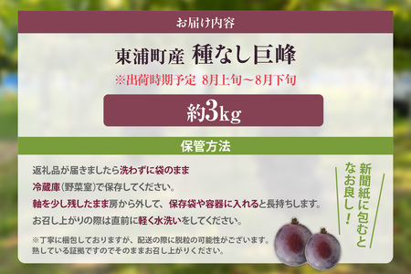 【先行予約】【2026年8月発送】東浦町産 種なし巨峰・約3kg｜ぶどう フルーツ 東浦町