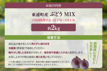 【先行予約】【2026年8月発送】東浦町産 ぶどうMIX・約2kg｜ぶどう フルーツ 東浦町