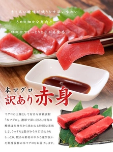 【定期便/計12回】本マグロ訳あり赤身700g（計16.8kg）【DG011-t12】
