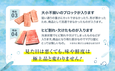 【定期便/計12回】本マグロ訳あり中トロ700g（計8.4kg）【DG008-t12】