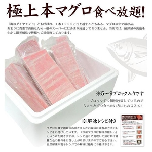 【定期便/計12回】本マグロ赤身1kg（12kg）【DG010-t12】