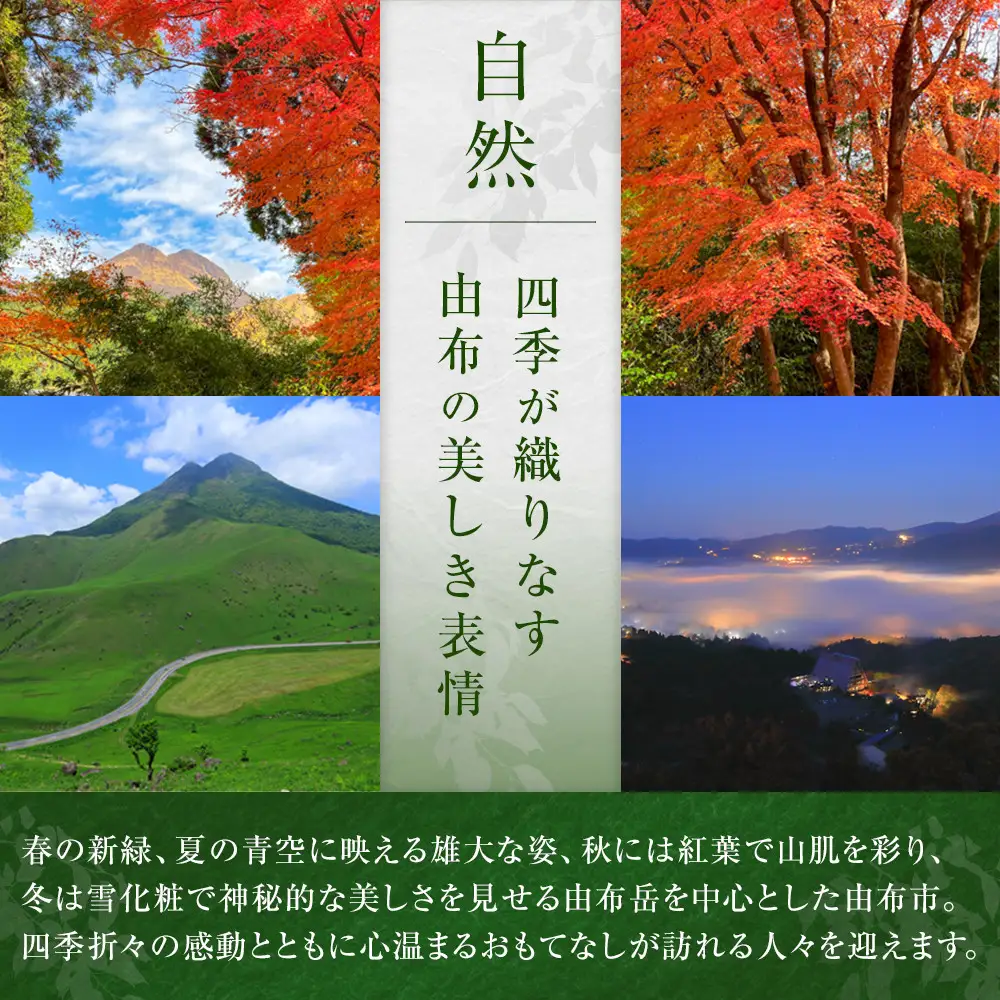 【全6回定期便】ゆふいん牛乳 900ml×3本／瓶入り（Grass fed Milk/低温殺菌）＜湯布院クックヒルファーム＞