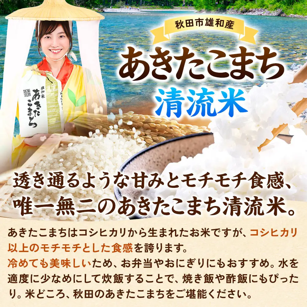 令和8年産 《定期便9ヶ月》あきたこまち 清流米 4kg（2kg×2袋）【無洗米】秋田県産