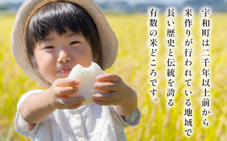 ＜令和7年産 愛媛県西予市産 コシヒカリ 田んぼダム米 最短10営業日以内に順次発送予定 10キロ こしひかり 西予応援米 宇和米 お米 コメ こめ 白米 精米 米 国産 愛媛県産 宇和町産 和みファーム 愛媛県 西予市【常温】 UWN0002