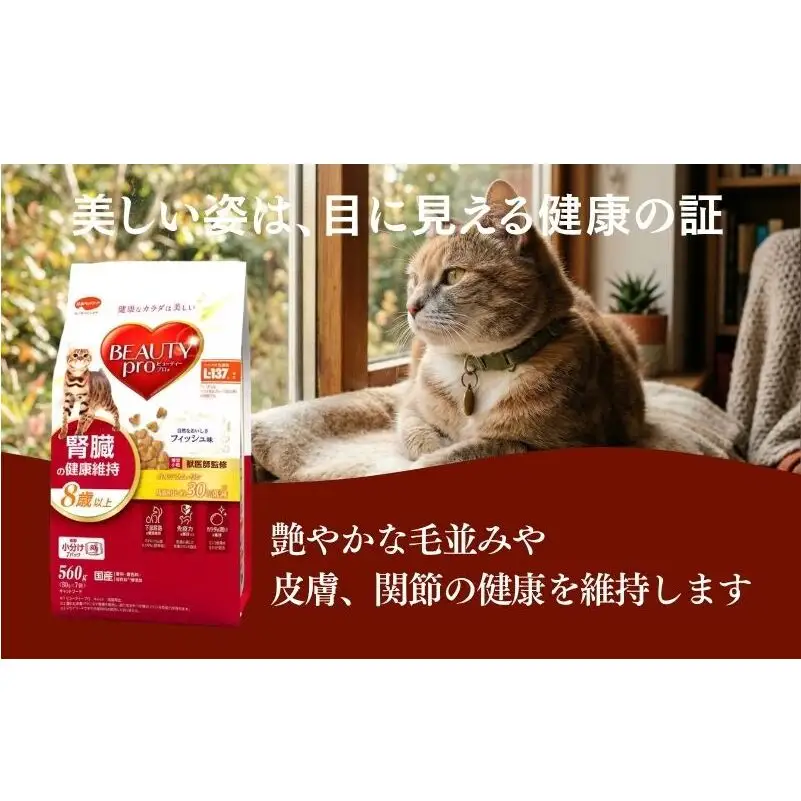 ビューティープロ キャット 腎臓の健康維持 8歳以上 560g ｘ10(ケース単位) キャットフード