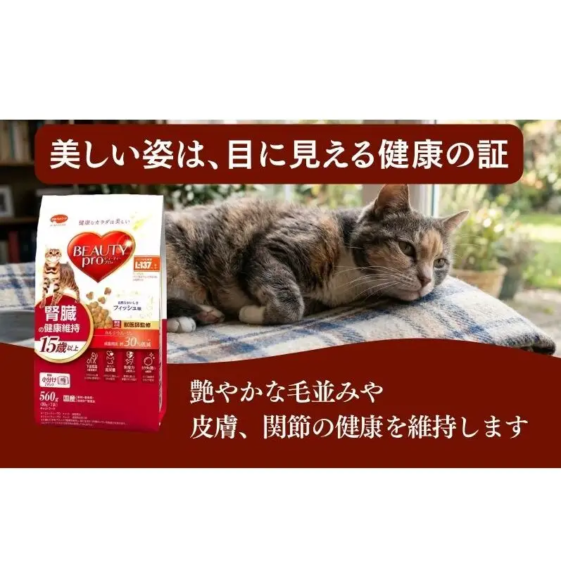 ビューティープロ キャット 腎臓の健康維持 15歳以上 560g ｘ10(ケース単位) キャットフード