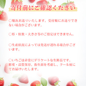 摘みたて氷いちご 2kg 冷凍いちご いちご イチゴ 苺