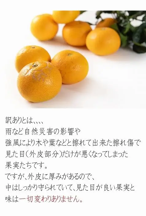 八朔 6kg 訳あり 木成り八朔［Mg20］