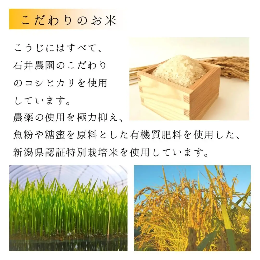 乾燥米こうじ 500g×12袋 新潟県認証特別栽培米 コシヒカリ使用 | 米麹