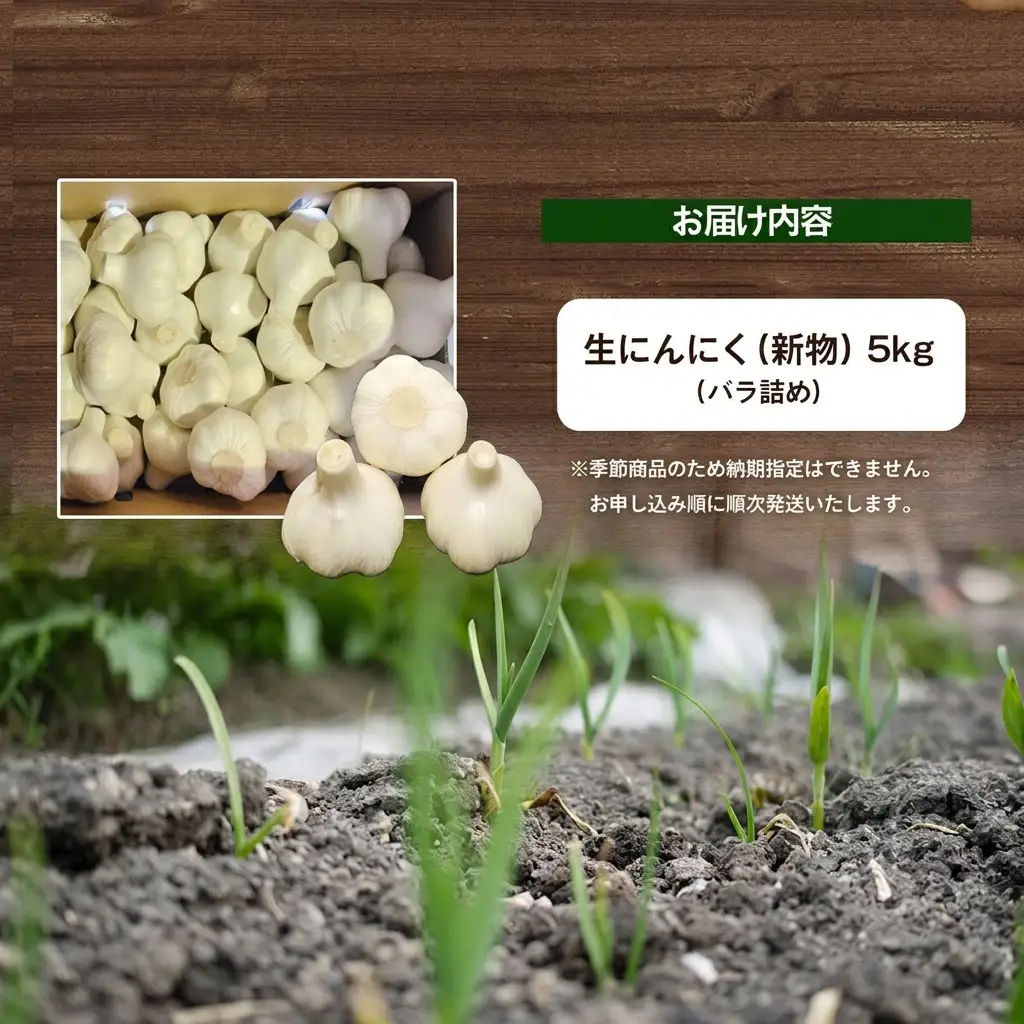 にんにく 生 香味野菜 五色青果 にんにく【5kg バラ詰め】 【46311894】