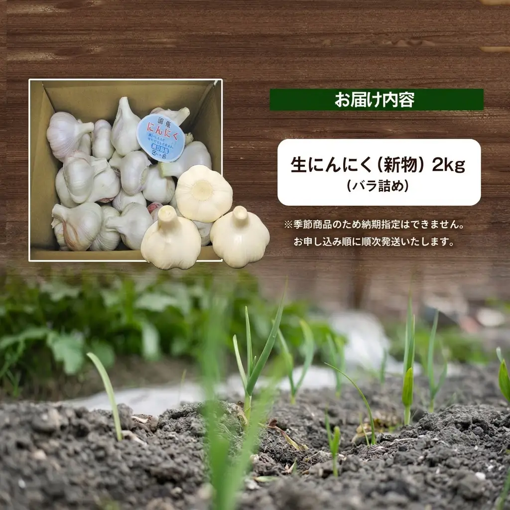 にんにく 生 香味野菜 五色青果 にんにく【2kg バラ詰め】 【46311893】