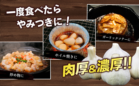 にんにく 乾燥 香川県産 家庭用 にんにく【3kg バラ詰め】 【46311900