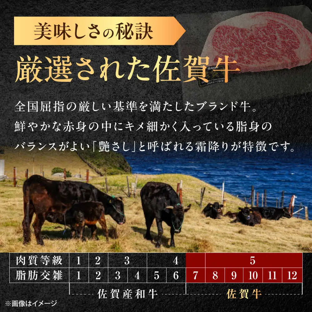【6回定期便】佐賀牛 サーロインステーキ 300g /MKミート武雄[UEM018]ステーキ定期便
