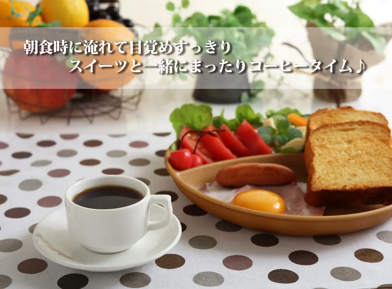 加藤珈琲店 しゃちブレンド コーヒー 豆のまま 12.5kg  (500g×25袋) コーヒー
