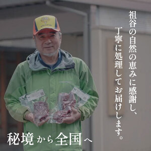 鹿肉モモブロック 500g シンタマ ジビエ 国産 祖谷 地美栄【 ジビエ 】
