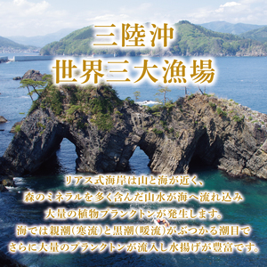 秋鮭 切り身 35切れ 鮭 さけ 海鮮 魚 魚介類 魚貝類 無塩鮭 冷凍 朝食 おかず ご飯 さかな おさかな 魚 焼き魚 FISH ごはん 夕飯 おかず おつまみ 晩酌 米 丼 海産物 海鮮 魚介 魚介類 大船渡 三陸 岩手県 国産 秋鮭 