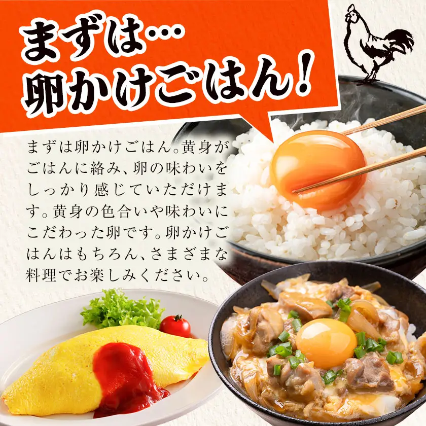 【5ヶ月定期便】たまご 黄味じまん Lサイズ 30個 計150個 君嶋養鶏園