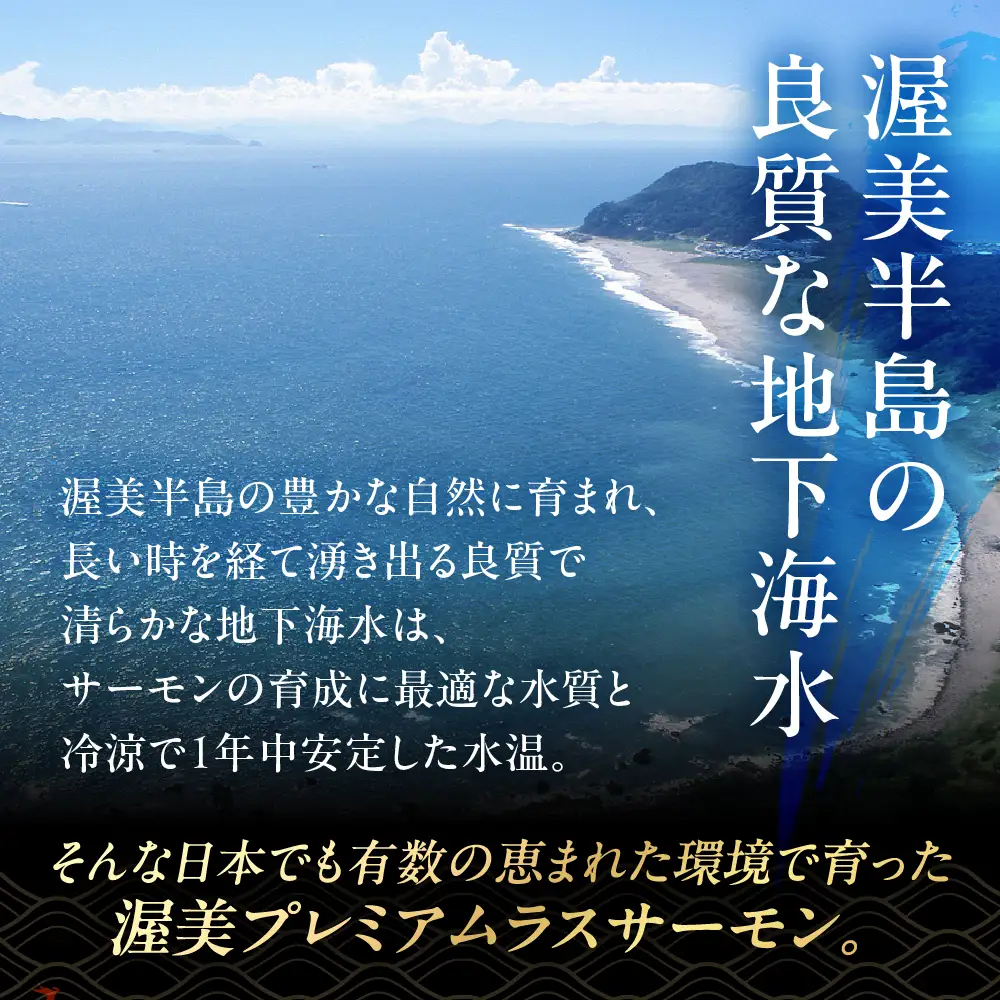 犬のおやつ 国産 サーモンスキン 無投薬 サーモン 鮭 鮭皮 ペットフード