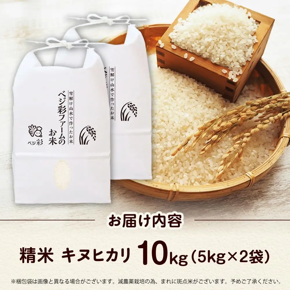 お米 令和7年産 キヌヒカリ 10キロ [AOEJ010] お米