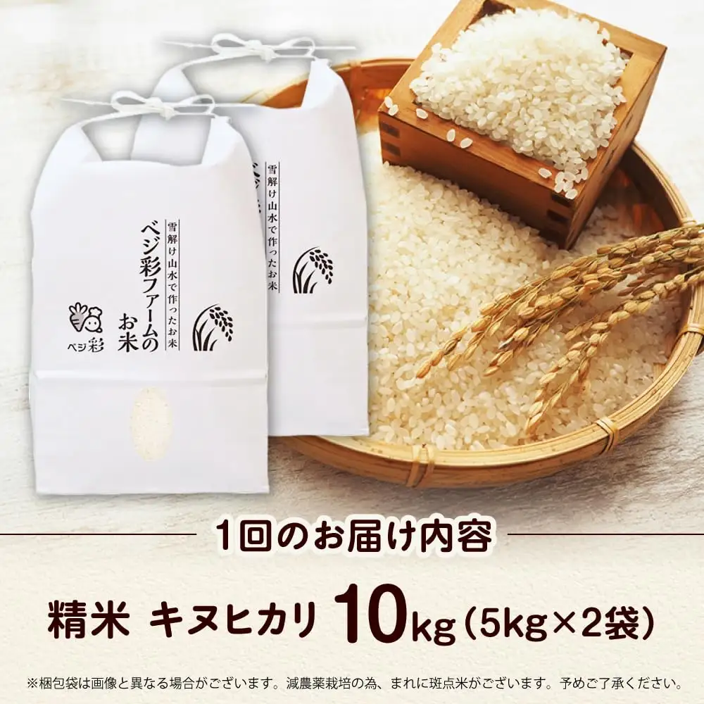 【全3回定期便】お米 10キロ 10kg 大阪府高槻市/ベジ彩ファーム[AOEJ011] お米