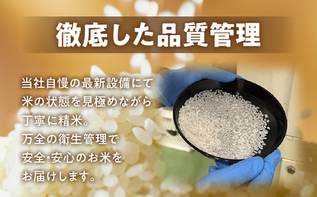 《令和8年産 新米》 こしひかり 5kg お米 11月発送