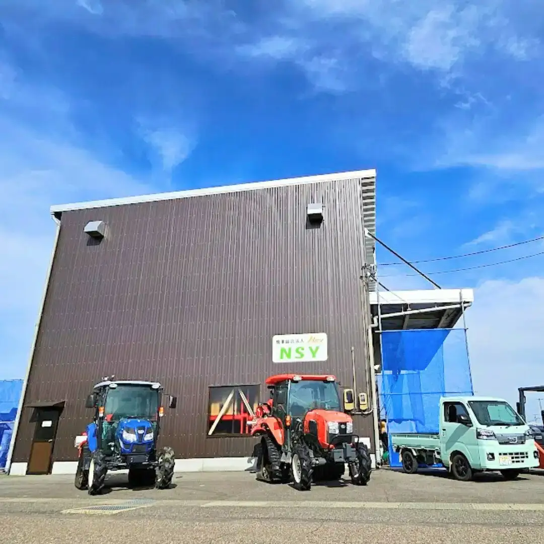 先行予約 新之助 5kg×1袋 令和8年 新潟県産 精米 三条市 新之助