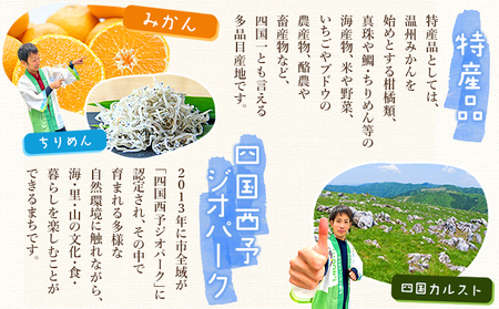 ＜ファンケル 1日分のケール 3回定期便＞ 緑黄色野菜 濃縮野菜 無添加 ミネラル農法 化学農薬不使用 飲料 飲み物 小分け 特産品 グリーンヒル ファンケル FANCL 愛媛県 西予市【常温】『お申込み月の翌月より配送を開始』NGH0014