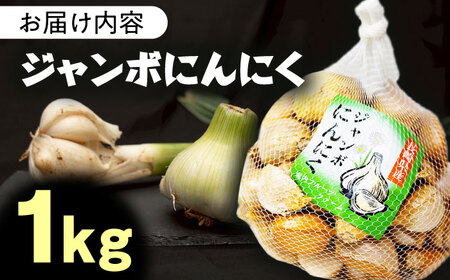 佐々町産ジャンボニンニク1kg[QAT021]