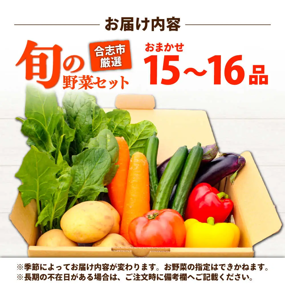 合志の旬のお野菜セット 15品から16品  野菜[AYAB112]
