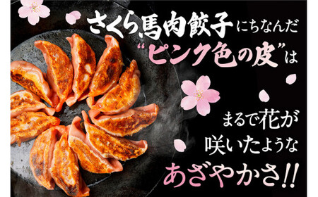 熊本 馬刺し 専門店のさくら馬肉 餃子 80個 国産 冷凍