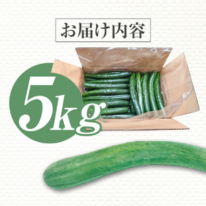 きゅうり 5kg 【R01452】