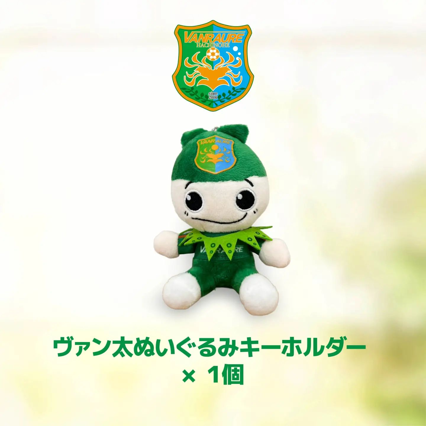 VANRAURE【Sサイズ】ヴァンラーレ八戸 応援グッズ 3点セット 青森県 八戸市