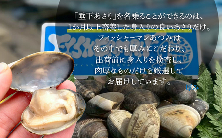 【先行予約】どでかい！垂下あさり 1.9kg 大 サイズ あさり ブランドあさり 浅利 ダシ 出汁 味噌汁 国産 アサリ 愛知県 田原市 新鮮 砂抜き 海鮮 魚介類 魚介 貝 人気 パスタ などに