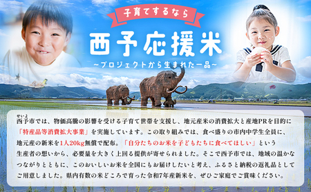 ＜にじのきらめき 約10kg（5kg×2袋）＞ 10キロ ニジノキラメキ 米 お米 コメ こめ 白米 精米 ご飯 ライス 大粒 穀物 西予応援米 特産品 愛媛県産 西予市産 宇和町産 前田農園 愛媛県 西予市 【常温】『2025年10月から12月迄に順次出荷予定』UMU0002