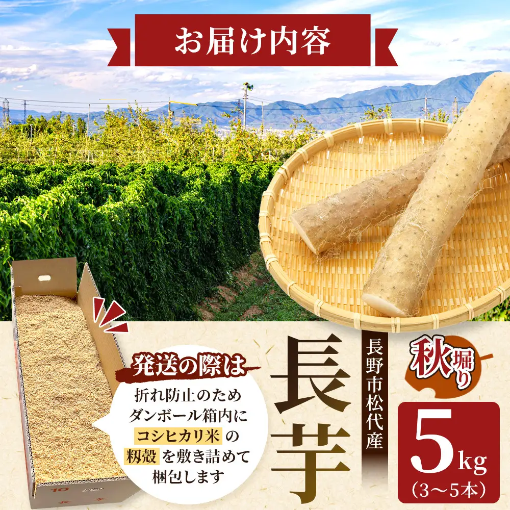 熊原果樹園　長芋（秋堀り）5kg | 長いも 秋堀り シャキシャキ 粘り