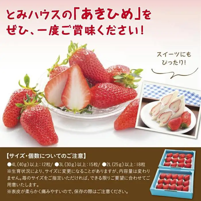 あきひめDX 500g 鳥取いちご【とみハウス】