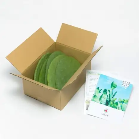 食べるサボテン 太陽の葉 フレッシュリーフ食用サボテン（１kg）