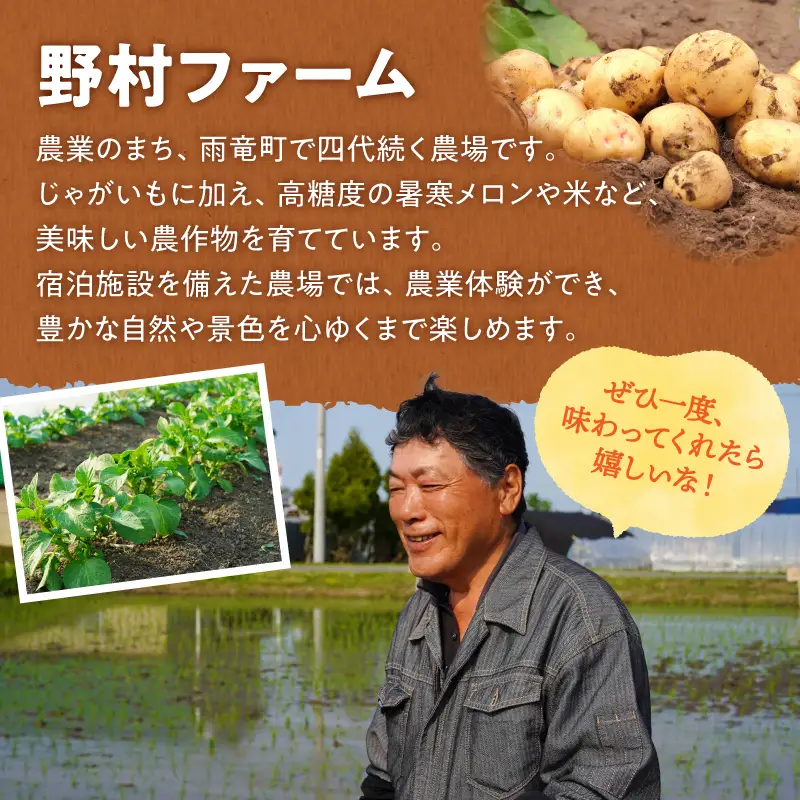 北海道産 じゃがいも 男爵 5kg  ジャガイモ 男爵 芋