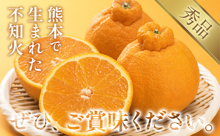 不知火 約3kg しらぬい 日本フルーツ株式会社 デコポン