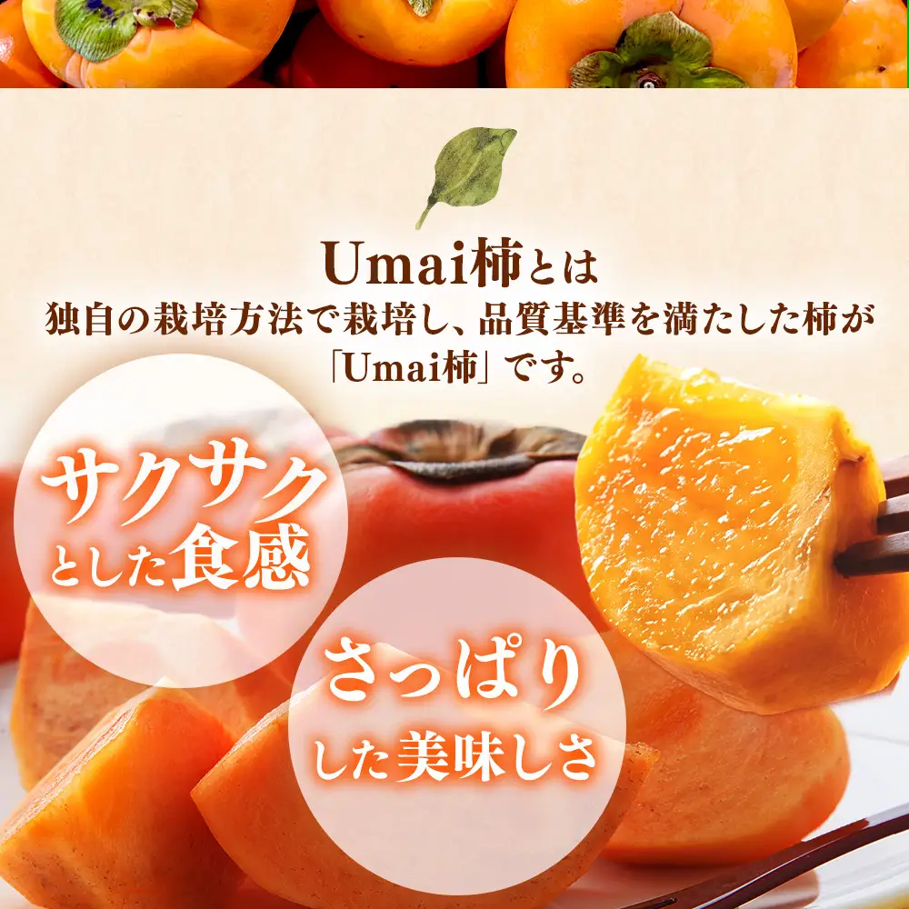 【先行予約】うま杉の富有柿 10kg 30玉(3L) ※2026年11月中旬～12月中旬頃に順次発送予定