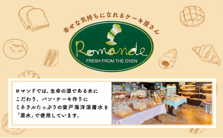 12回 定期便 食パンバラエティセット 海洋深層水食パン 4斤 [ロマンド 高知県 rm014]