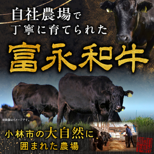 【自社牧場和牛】小林市産 黒毛和牛 赤身ステーキ 200g×3枚（牛肉 国産牛 黒毛和牛 和牛 赤身 ステーキ お肉 宮崎県）