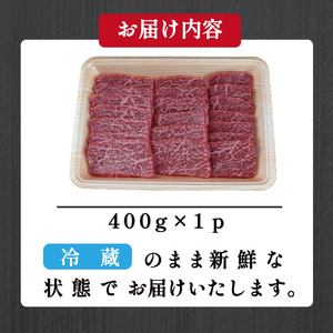 焼肉 宮崎牛特選赤身 400g  宮崎牛 