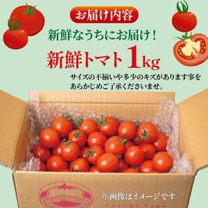 【先行受付】 新鮮トマト1kg 【安田町産】| トマト TR-03
