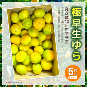 【先行予約】 極早生ゆら みかん 5kg Sサイズ みかん HT-02