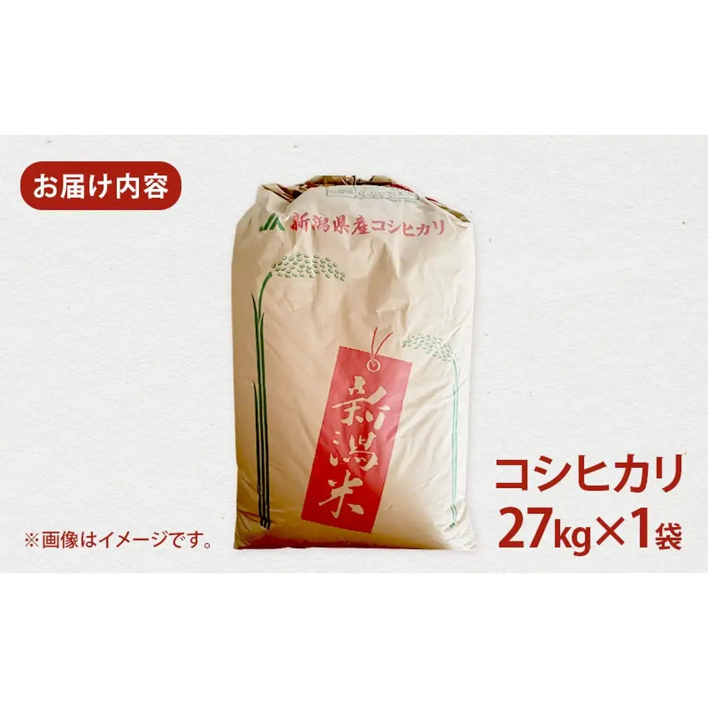 先行予約 令和8年産 新潟県上越市産 コシヒカリ 27kg 米 こしひかり ご飯 精米 お米 新潟 橋本農場