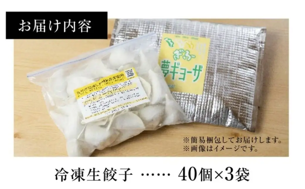 ぎふ夢 餃子 ミックス120個 人気 餃子 3種を詰め合わせ！ [mt2215] 